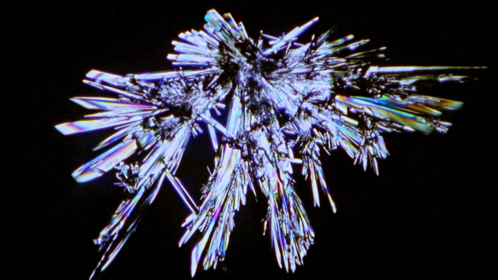 Son Şeyler görsel 4